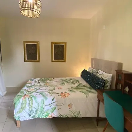 Dazk Golden Estate Πανσιόν Ribeira Brava