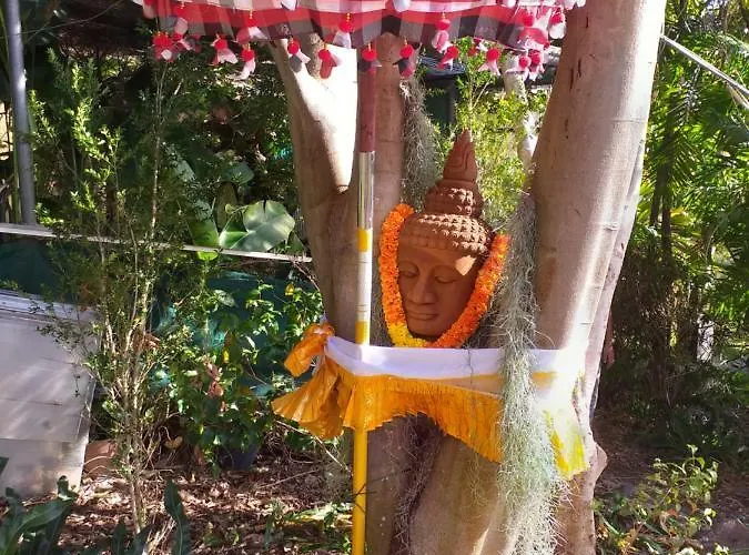 Dazk Golden Estate 4* Ribeira Brava