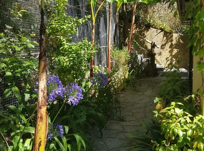 Dazk Golden Estate Ribeira Brava