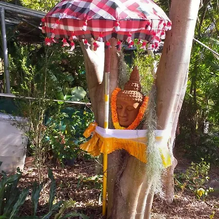 Dazk Golden Estate 4* Ribeira Brava