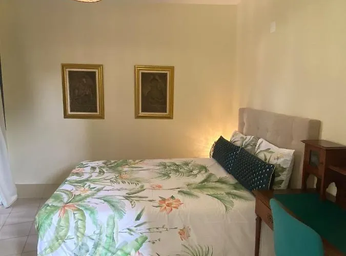 Dazk Golden Estate Penzion Ribeira Brava